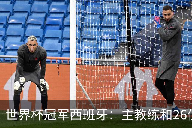 世界杯冠军西班牙：主教练和26位球员出生在哪些城市？