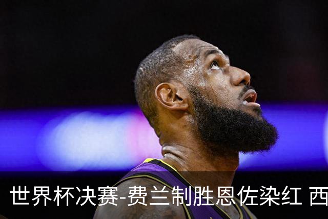 世界杯决赛-费兰制胜恩佐染红 西班牙加时1-0阿根廷夺冠