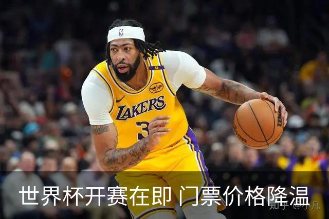 世界杯开赛在即 门票价格降温