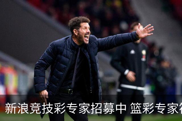 新浪竞技彩专家招募中 篮彩专家符合条件优先录用