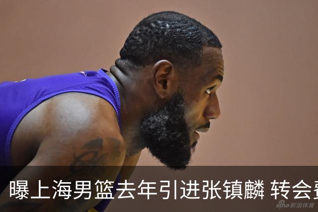 曝上海男篮去年引进张镇麟 转会费投入超5000万