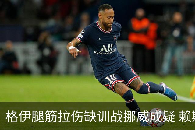 格伊腿筋拉伤缺训战挪威成疑 赖斯胃部不适和队友隔离