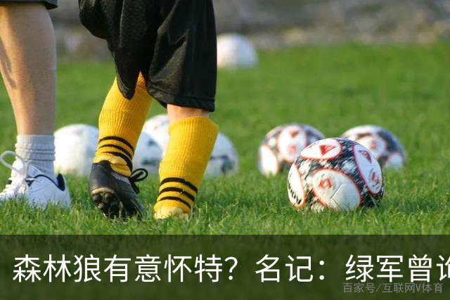 森林狼有意怀特？名记：绿军曾询价戈贝尔被拒绝 他和怀特能配平