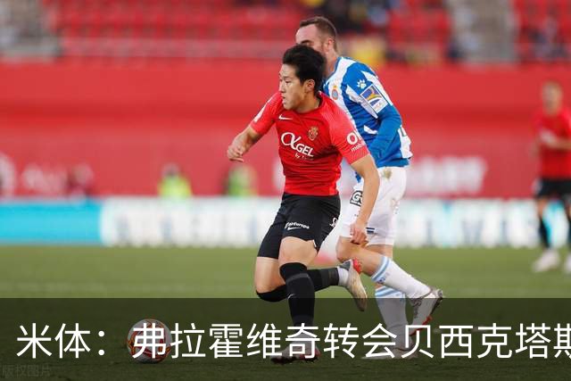米体：弗拉霍维奇转会贝西克塔斯或成行，土耳其方面开出高薪合同