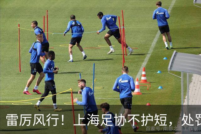 雷厉风行！上海足协不护短，处罚申思所在俱乐部，责成完成股权变更