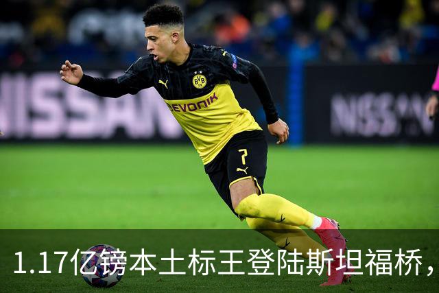 1.17亿镑本土标王登陆斯坦福桥，罗杰斯补充阵容不足，赋能切尔西新赛季