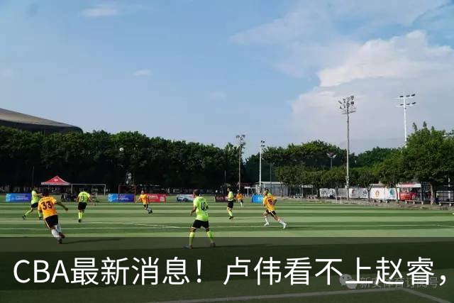 CBA最新消息！卢伟看不上赵睿，张镇麟转会费超5000万，林葳无缘国家队原因曝光