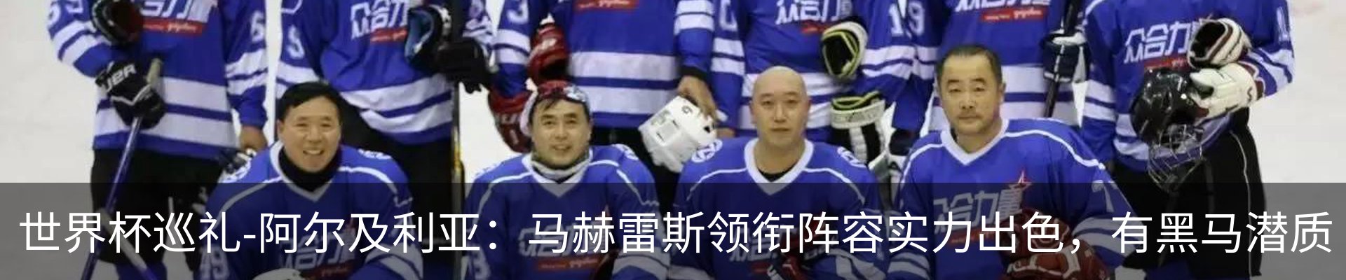 最新动态