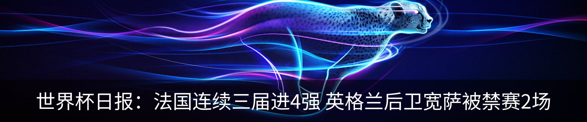 最新动态