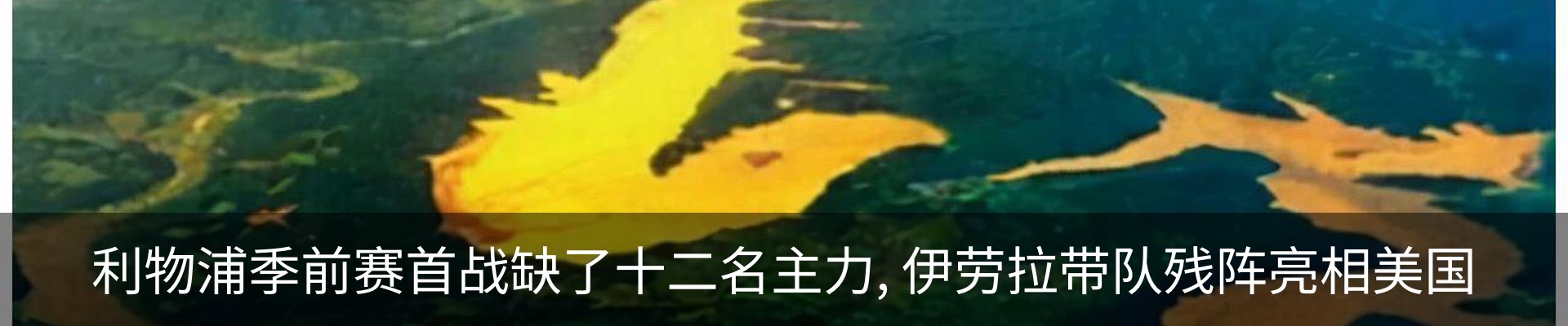 最新动态