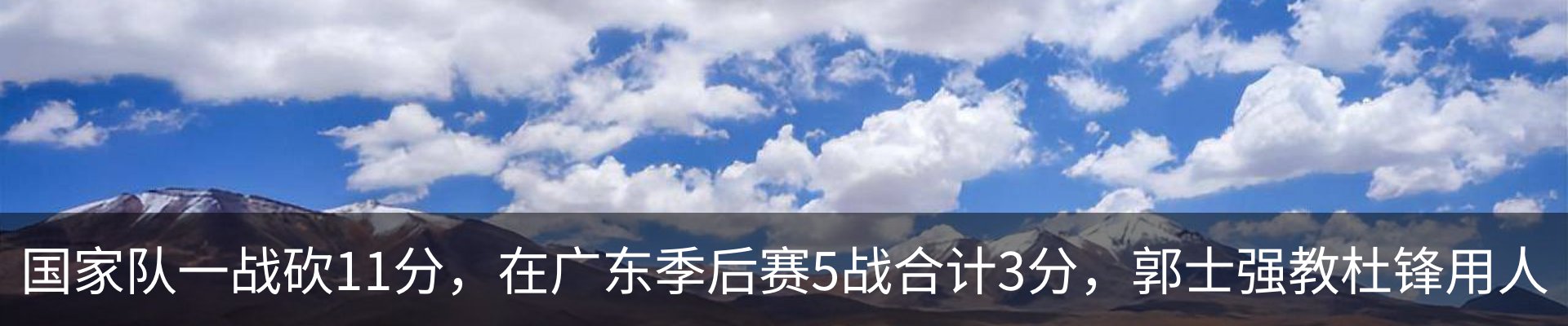 最新动态