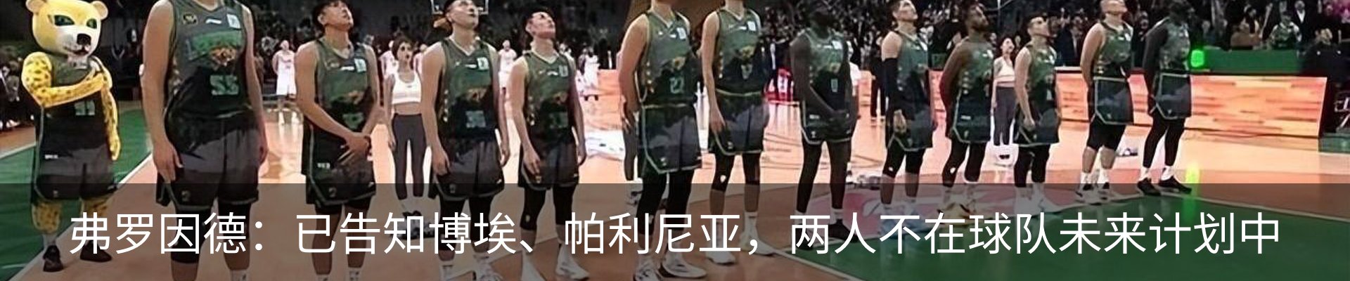 最新动态