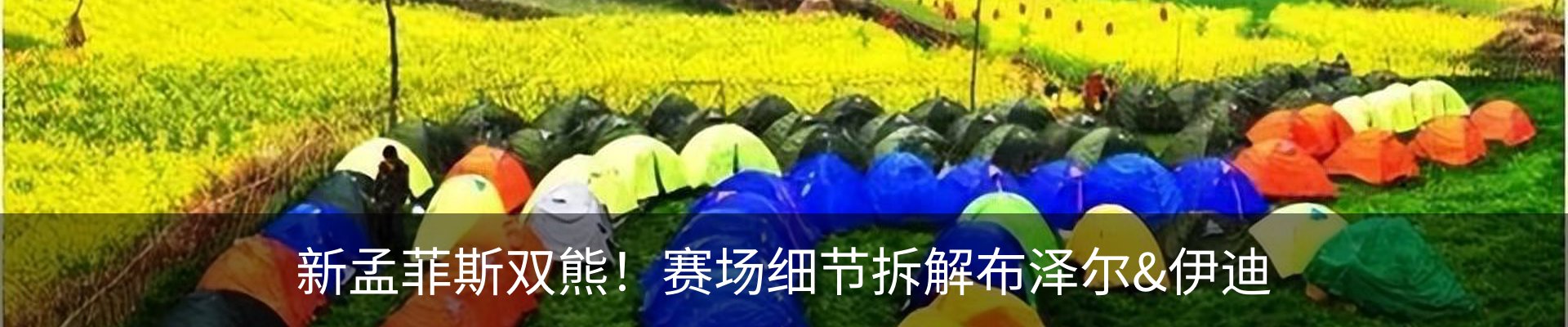 最新动态