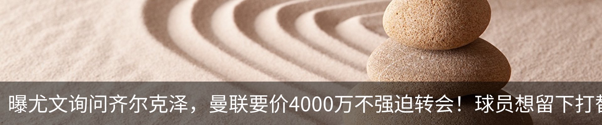 最新动态