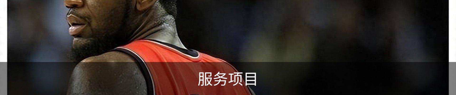 服务项目