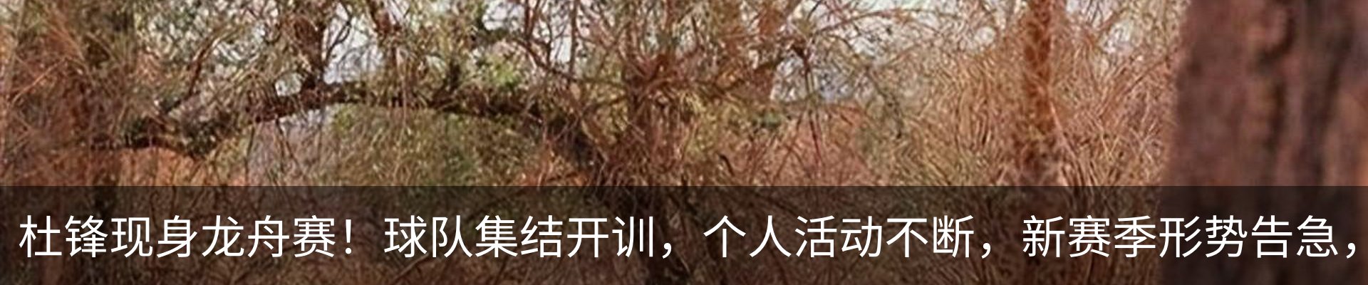 最新动态