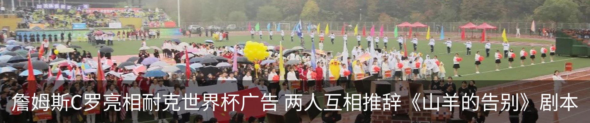 最新动态