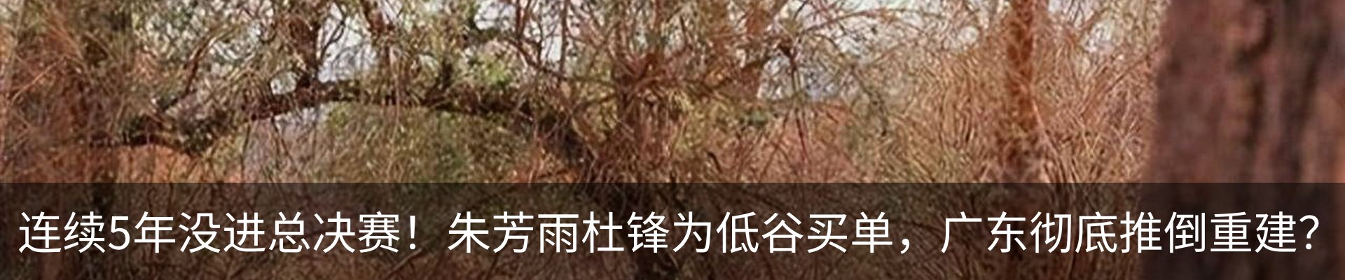 最新动态