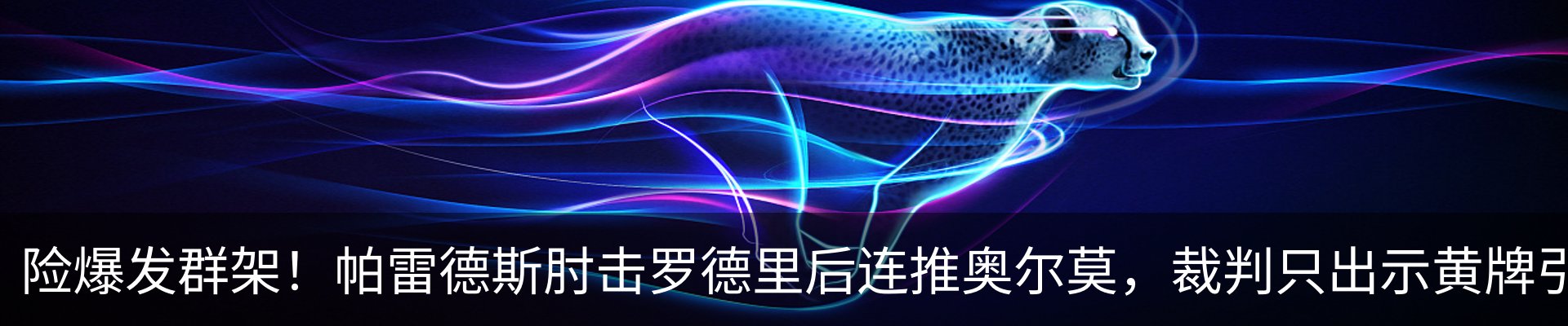 最新动态