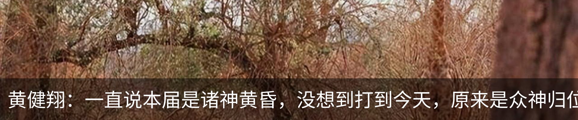 最新动态