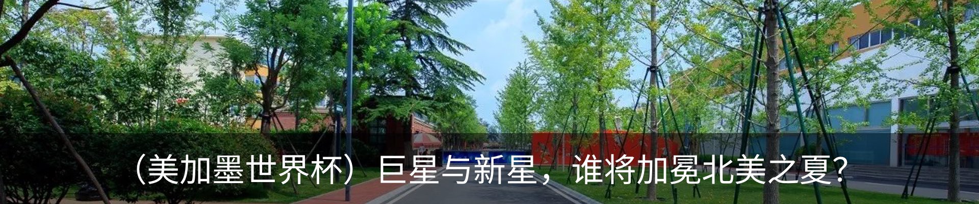 最新动态