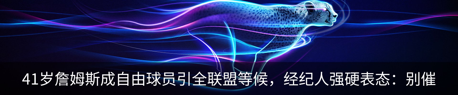 最新动态